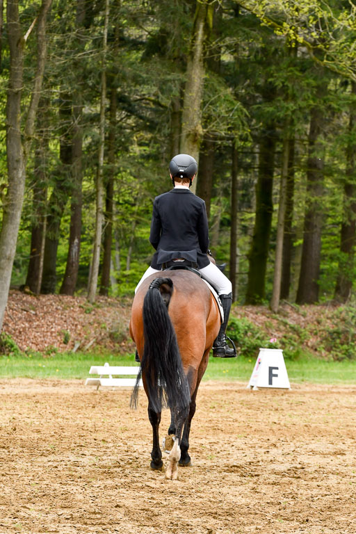 Quali für Goldene Schärpe Ponys in Berge   6+7.5.23 | Felix Triskatis - Captain Chaos_25 