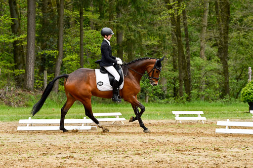 Quali für Goldene Schärpe Ponys in Berge   6+7.5.23 | Felix Triskatis - Captain Chaos_26 