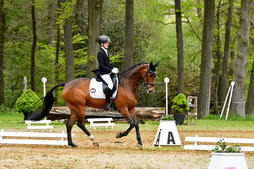 Quali für Goldene Schärpe Ponys in Berge   6+7.5.23 | Felix Triskatis - Captain Chaos_27 
