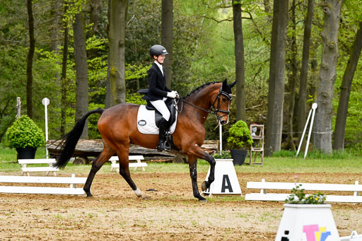 Quali für Goldene Schärpe Ponys in Berge   6+7.5.23 | Felix Triskatis - Captain Chaos_28 