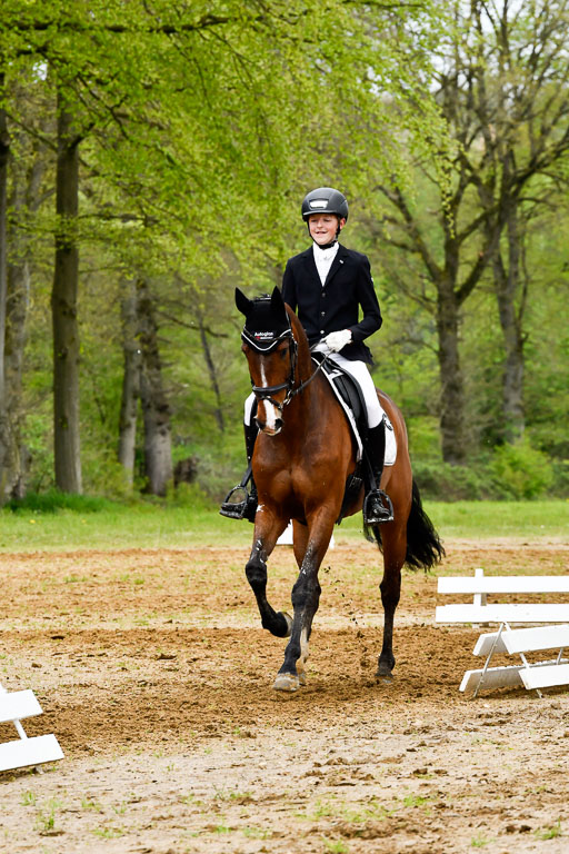 Quali für Goldene Schärpe Ponys in Berge   6+7.5.23 | Felix Triskatis - Captain Chaos_29 