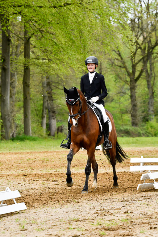 Quali für Goldene Schärpe Ponys in Berge   6+7.5.23 | Felix Triskatis - Captain Chaos_30 