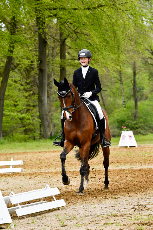 Quali für Goldene Schärpe Ponys in Berge   6+7.5.23 | Felix Triskatis - Captain Chaos_31 