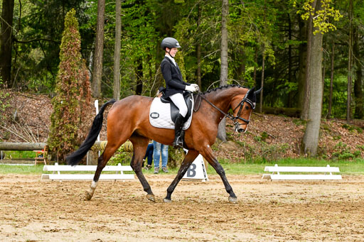 Quali für Goldene Schärpe Ponys in Berge   6+7.5.23 | Felix Triskatis - Captain Chaos_32 