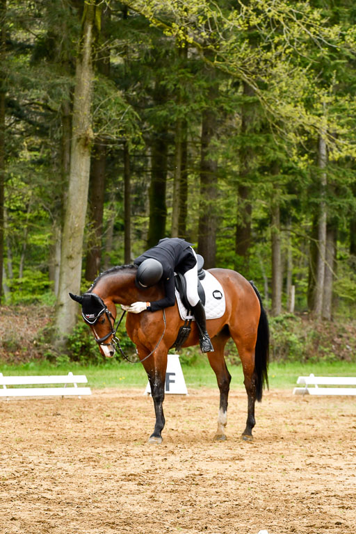 Quali für Goldene Schärpe Ponys in Berge   6+7.5.23 | Felix Triskatis - Captain Chaos_34 