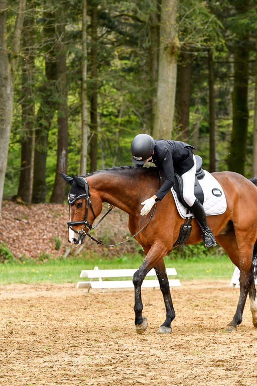 Quali für Goldene Schärpe Ponys in Berge   6+7.5.23 | Felix Triskatis - Captain Chaos_35 