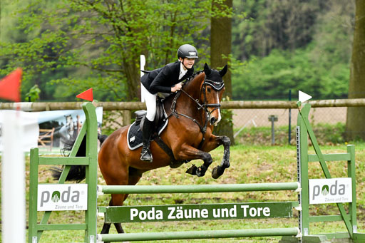 Quali für Goldene Schärpe Ponys in Berge   6+7.5.23 | Felix Triskatis - Captain Chaos_48 