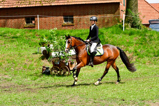 Quali für Goldene Schärpe Ponys in Berge   6+7.5.23 | Felix Triskatis mit Quedence 