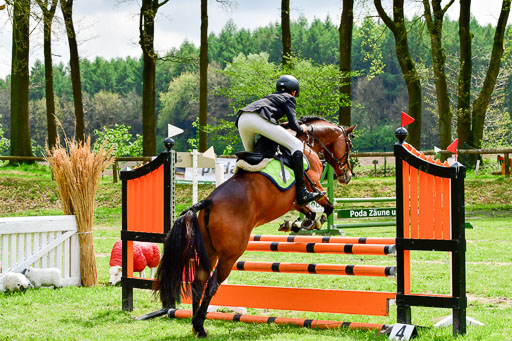 Quali für Goldene Schärpe Ponys in Berge   6+7.5.23 | Felix Triskatis mit Quedence_04 