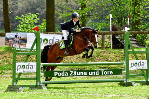 Quali für Goldene Schärpe Ponys in Berge   6+7.5.23 | Felix Triskatis mit Quedence_08 