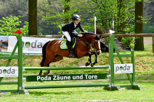 Quali für Goldene Schärpe Ponys in Berge   6+7.5.23 | Felix Triskatis mit Quedence_09 