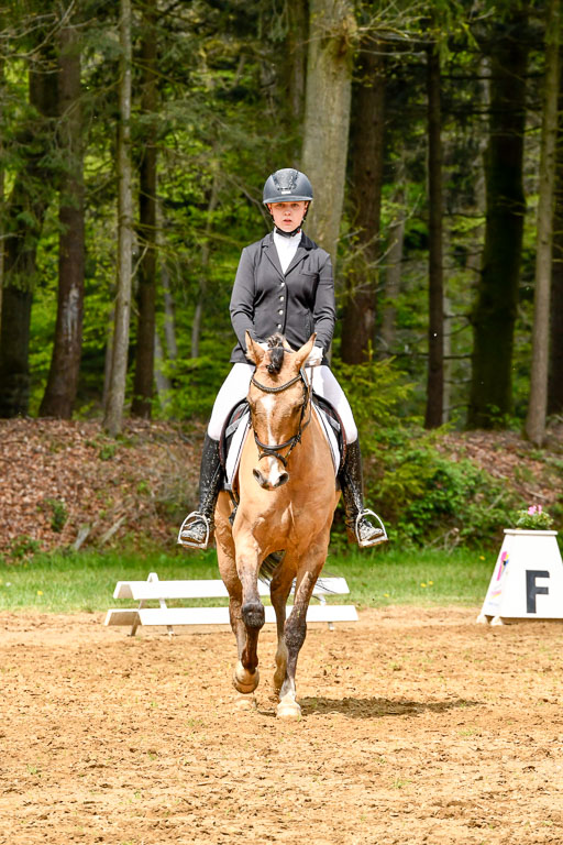 Quali für Goldene Schärpe Ponys in Berge   6+7.5.23 | Finnja Schruttke - Don Vito_01 
