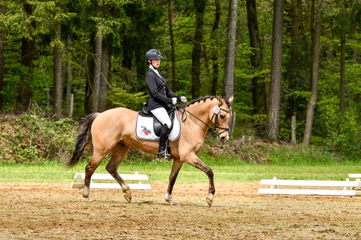 Quali für Goldene Schärpe Ponys in Berge   6+7.5.23 | Finnja Schruttke - Don Vito_03 