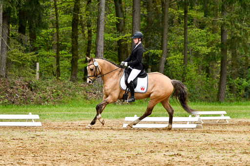 Quali für Goldene Schärpe Ponys in Berge   6+7.5.23 | Finnja Schruttke - Don Vito_04 