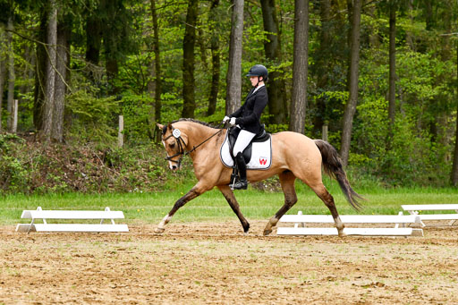Quali für Goldene Schärpe Ponys in Berge   6+7.5.23 | Finnja Schruttke - Don Vito_08 