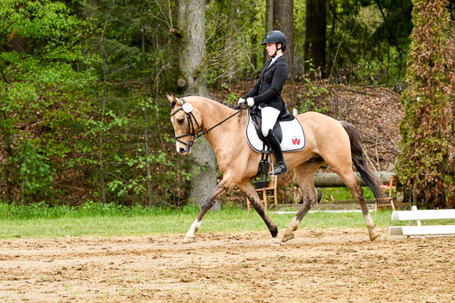 Quali für Goldene Schärpe Ponys in Berge   6+7.5.23 | Finnja Schruttke - Don Vito_09 