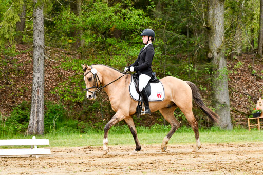 Quali für Goldene Schärpe Ponys in Berge   6+7.5.23 | Finnja Schruttke - Don Vito_10 