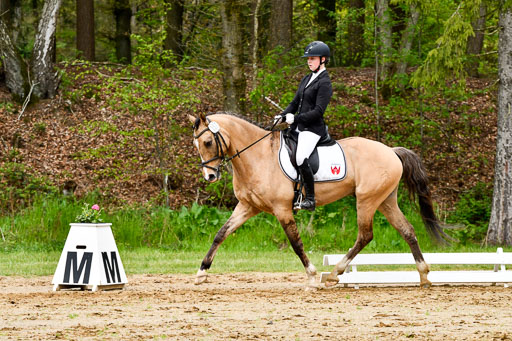 Quali für Goldene Schärpe Ponys in Berge   6+7.5.23 | Finnja Schruttke - Don Vito_11 