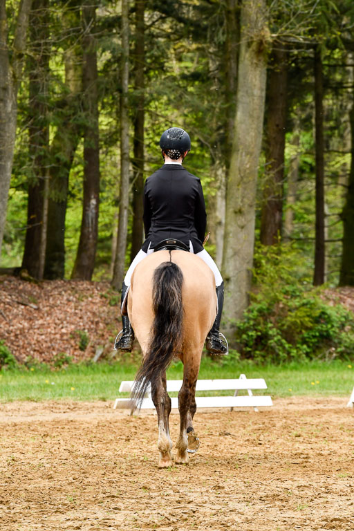 Quali für Goldene Schärpe Ponys in Berge   6+7.5.23 | Finnja Schruttke - Don Vito_12 