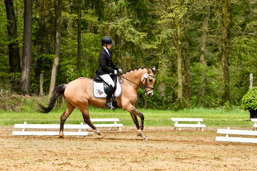 Quali für Goldene Schärpe Ponys in Berge   6+7.5.23 | Finnja Schruttke - Don Vito_13 