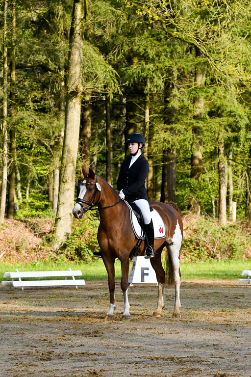 Quali für Goldene Schärpe Ponys in Berge   6+7.5.23 | Finnja Schruttke - Great Stripe 