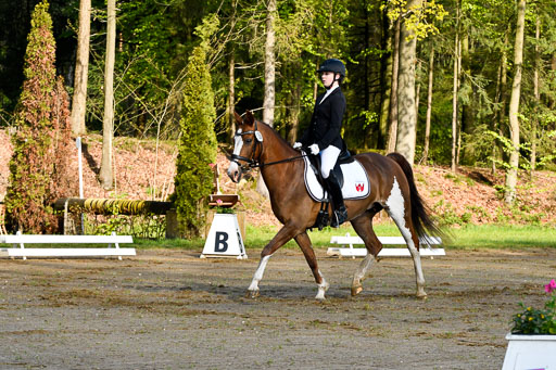Quali für Goldene Schärpe Ponys in Berge   6+7.5.23 | Finnja Schruttke - Great Stripe_02 