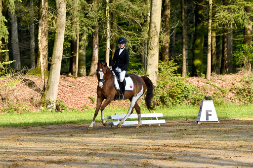 Quali für Goldene Schärpe Ponys in Berge   6+7.5.23 | Finnja Schruttke - Great Stripe_06 