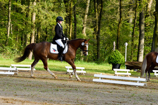 Quali für Goldene Schärpe Ponys in Berge   6+7.5.23 | Finnja Schruttke - Great Stripe_13 