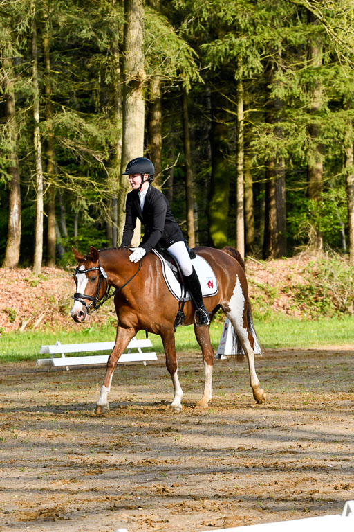 Quali für Goldene Schärpe Ponys in Berge   6+7.5.23 | Finnja Schruttke - Great Stripe_15 