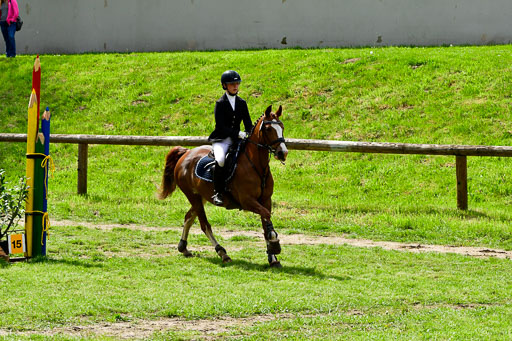 Quali für Goldene Schärpe Ponys in Berge   6+7.5.23 | Finnja Schruttke - Great Stripe_18 