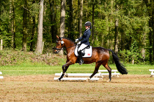 Quali für Goldene Schärpe Ponys in Berge   6+7.5.23 | Janne Vohwinkel  - Kaori Deluxe 