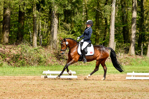 Quali für Goldene Schärpe Ponys in Berge   6+7.5.23 | Janne Vohwinkel  - Kaori Deluxe_01 