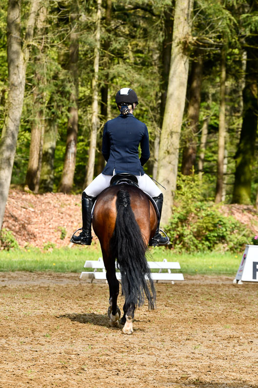 Quali für Goldene Schärpe Ponys in Berge   6+7.5.23 | Janne Vohwinkel  - Kaori Deluxe_03 