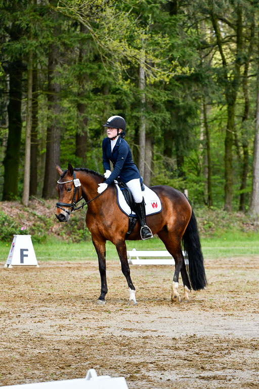 Quali für Goldene Schärpe Ponys in Berge   6+7.5.23 | Janne Vohwinkel  - Kaori Deluxe_07 