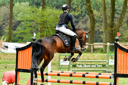 Quali für Goldene Schärpe Ponys in Berge   6+7.5.23 | Janne Vohwinkel  - Kaori Deluxe_12 