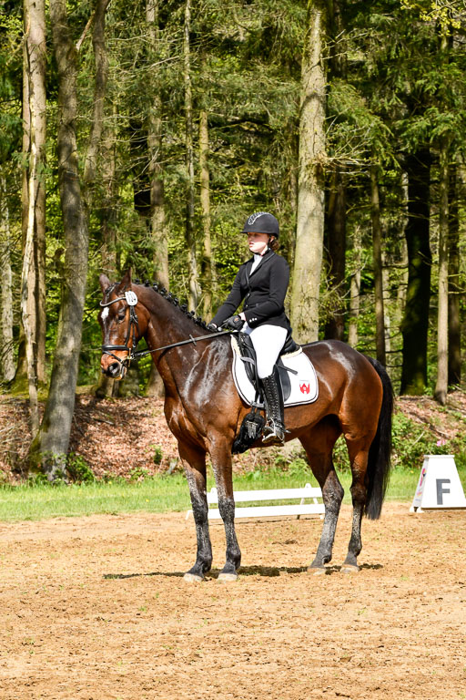 Quali für Goldene Schärpe Ponys in Berge   6+7.5.23 | Jara Fricke mit Scarlett 