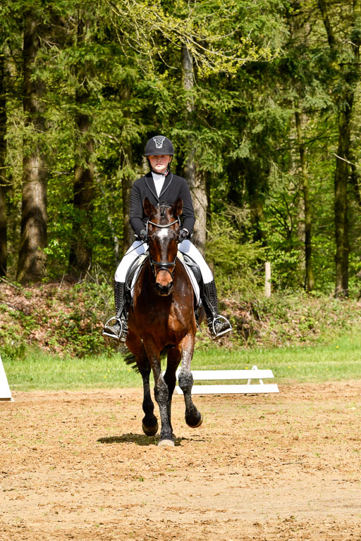 Quali für Goldene Schärpe Ponys in Berge   6+7.5.23 | Jara Fricke mit Scarlett_01 