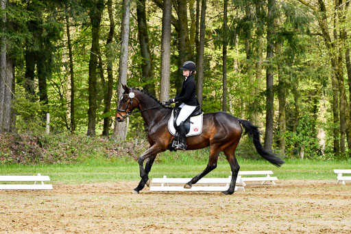 Quali für Goldene Schärpe Ponys in Berge   6+7.5.23 | Jara Fricke mit Scarlett_04 