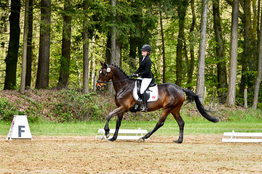 Quali für Goldene Schärpe Ponys in Berge   6+7.5.23 | Jara Fricke mit Scarlett_05 