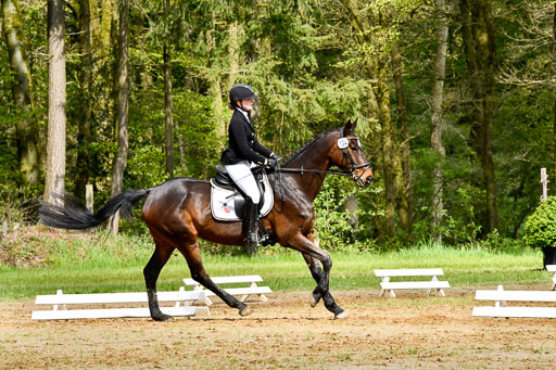 Quali für Goldene Schärpe Ponys in Berge   6+7.5.23 | Jara Fricke mit Scarlett_08 