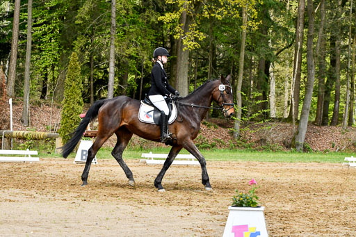 Quali für Goldene Schärpe Ponys in Berge   6+7.5.23 | Jara Fricke mit Scarlett_12 