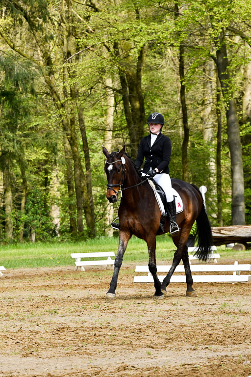 Quali für Goldene Schärpe Ponys in Berge   6+7.5.23 | Jara Fricke mit Scarlett_13 
