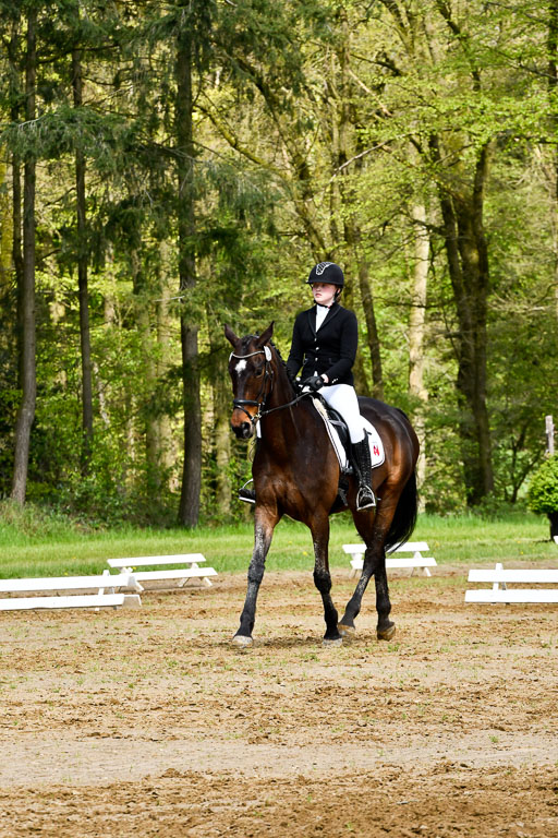Quali für Goldene Schärpe Ponys in Berge   6+7.5.23 | Jara Fricke mit Scarlett_14 