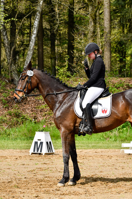 Quali für Goldene Schärpe Ponys in Berge   6+7.5.23 | Jara Fricke mit Scarlett_15 