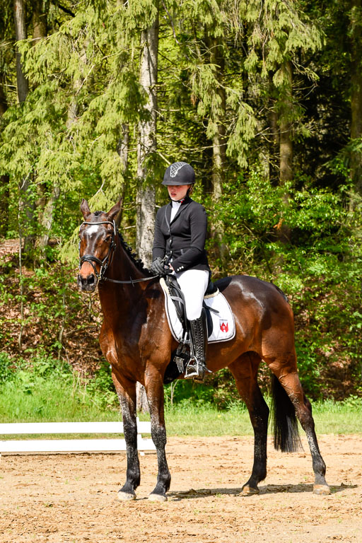 Quali für Goldene Schärpe Ponys in Berge   6+7.5.23 | Jara Fricke mit Scarlett_17 