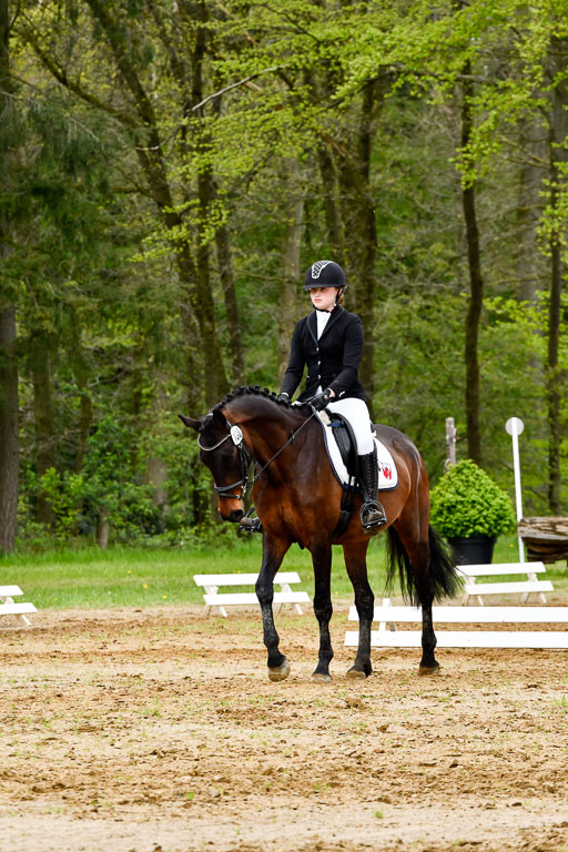 Quali für Goldene Schärpe Ponys in Berge   6+7.5.23 | Jara Fricke  mit Sir Lancelot 