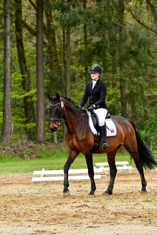 Quali für Goldene Schärpe Ponys in Berge   6+7.5.23 | Jara Fricke  mit Sir Lancelot_01 