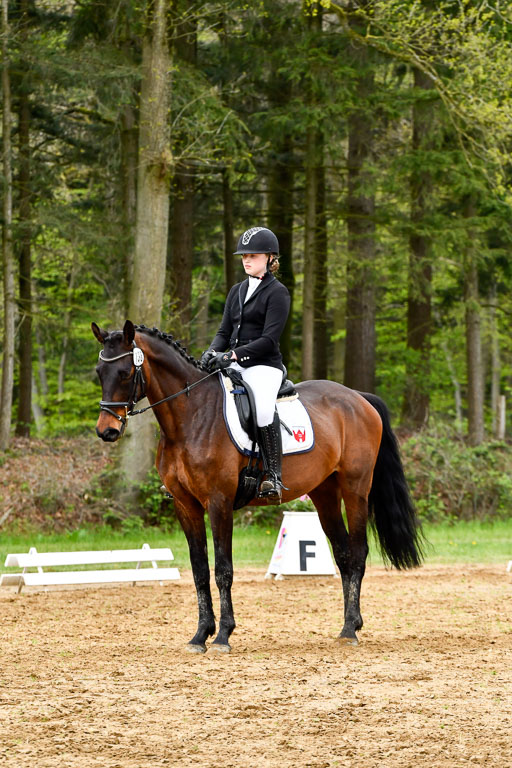 Quali für Goldene Schärpe Ponys in Berge   6+7.5.23 | Jara Fricke  mit Sir Lancelot_02 
