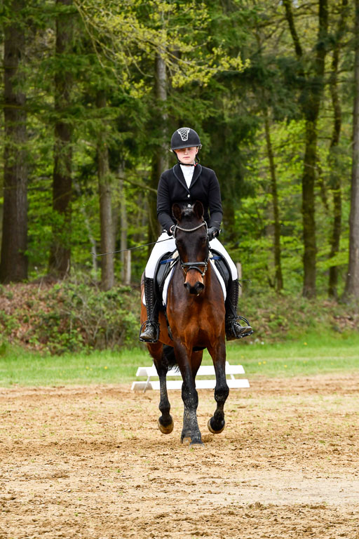 Quali für Goldene Schärpe Ponys in Berge   6+7.5.23 | Jara Fricke  mit Sir Lancelot_03 