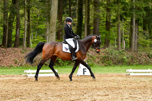 Quali für Goldene Schärpe Ponys in Berge   6+7.5.23 | Jara Fricke  mit Sir Lancelot_05 